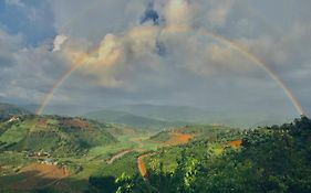 Midori Coffee Farm