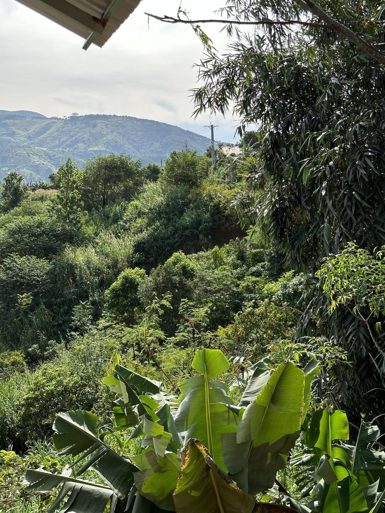 ダラット Midori Coffee Farmヴィラ エクステリア 写真